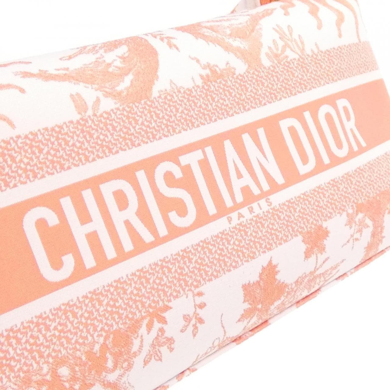 DIOR S5554ONJA 小袋 帆布