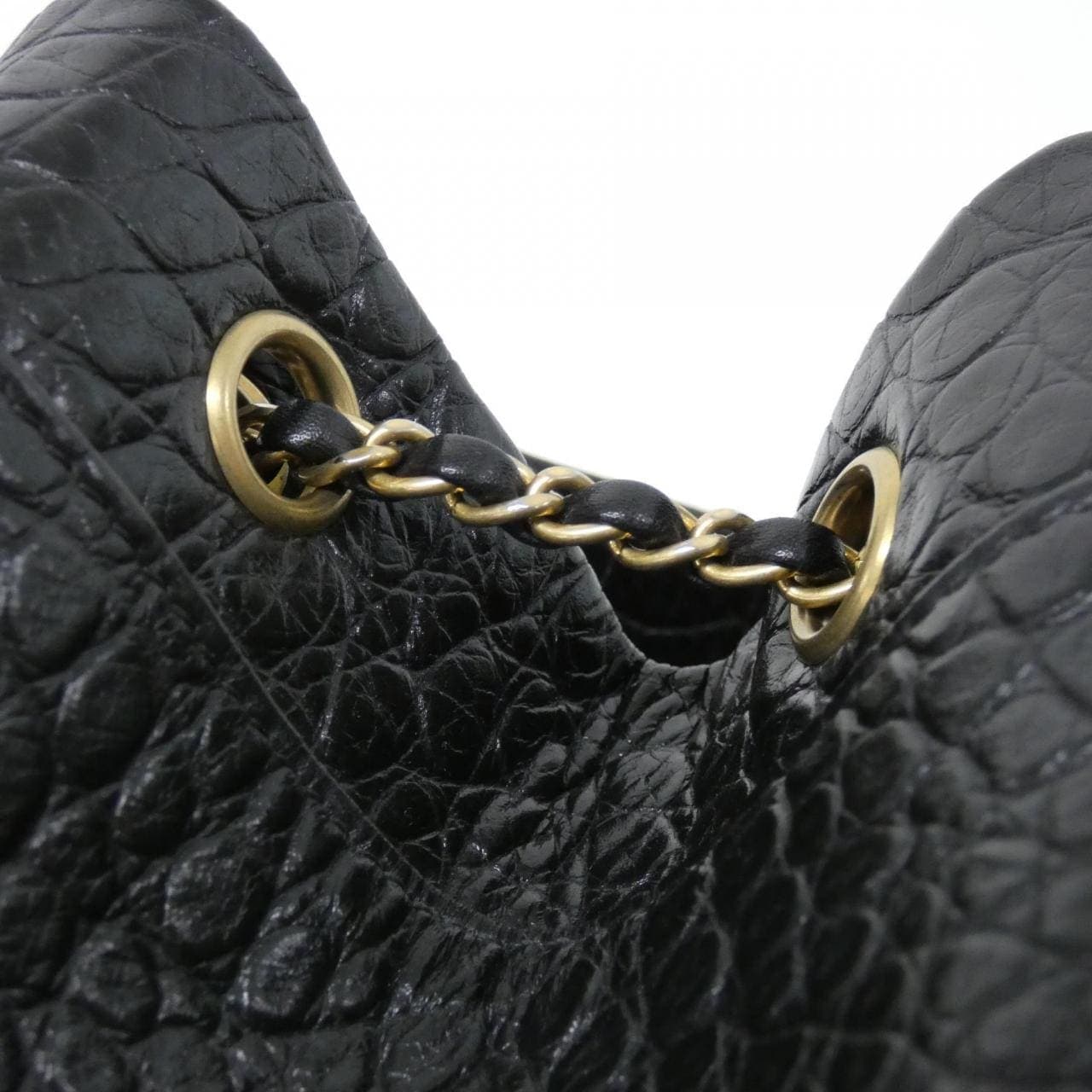 CHANEL AS0800 背包 鱷魚皮