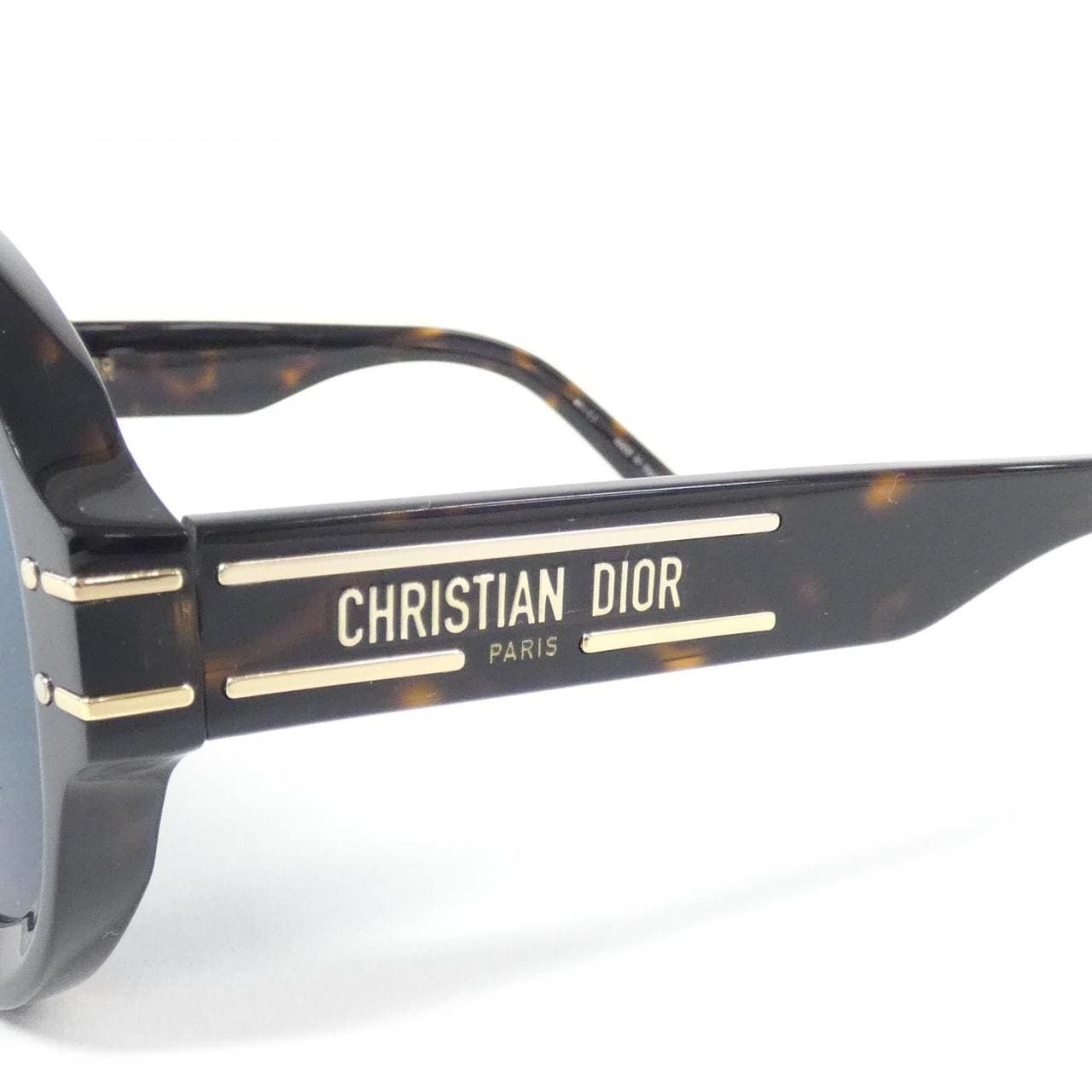 DIOR SIGNATURE R1U Sunglasses