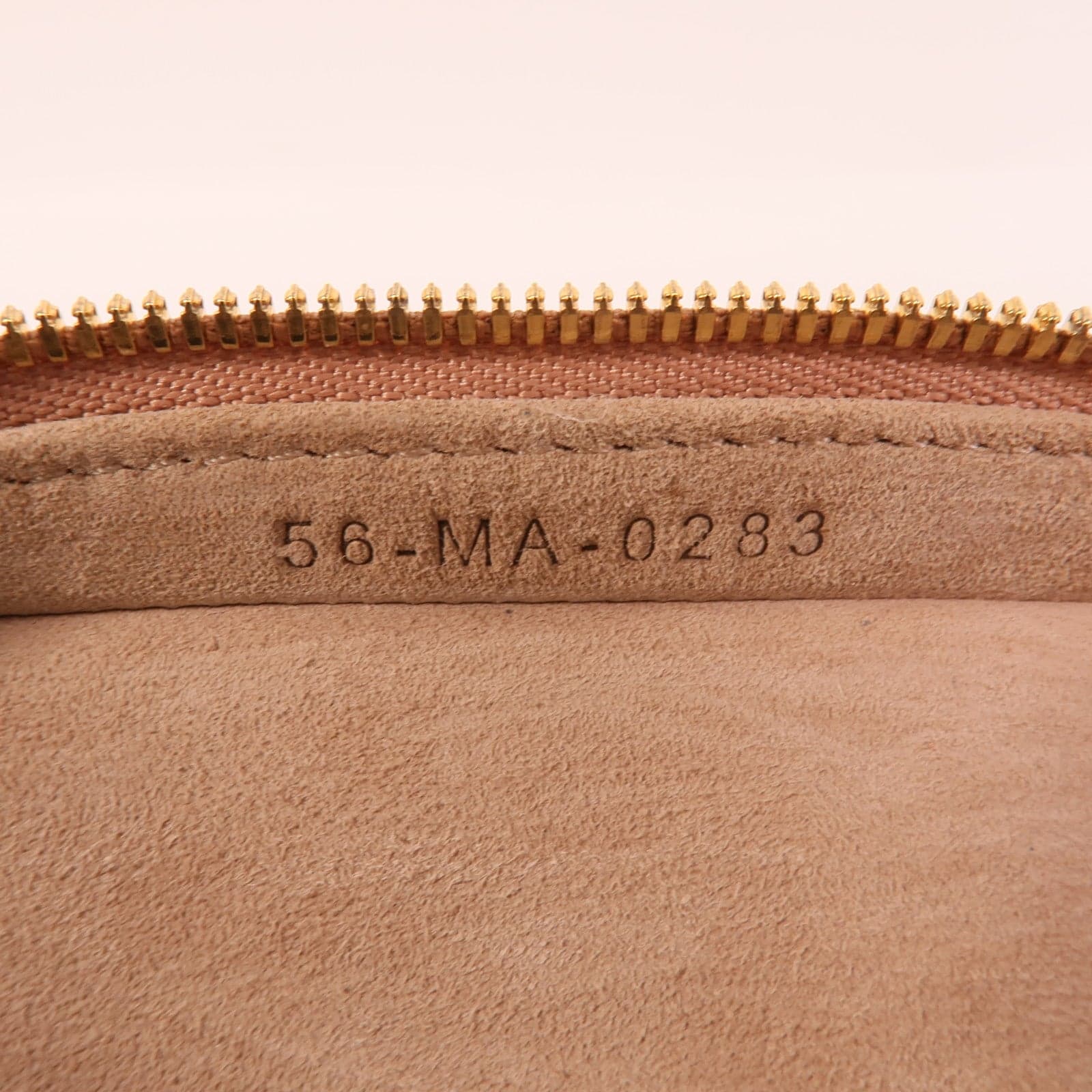 LOUIS VUITTON Vanity S0918ONMJ-M49P 兩用包 羊皮