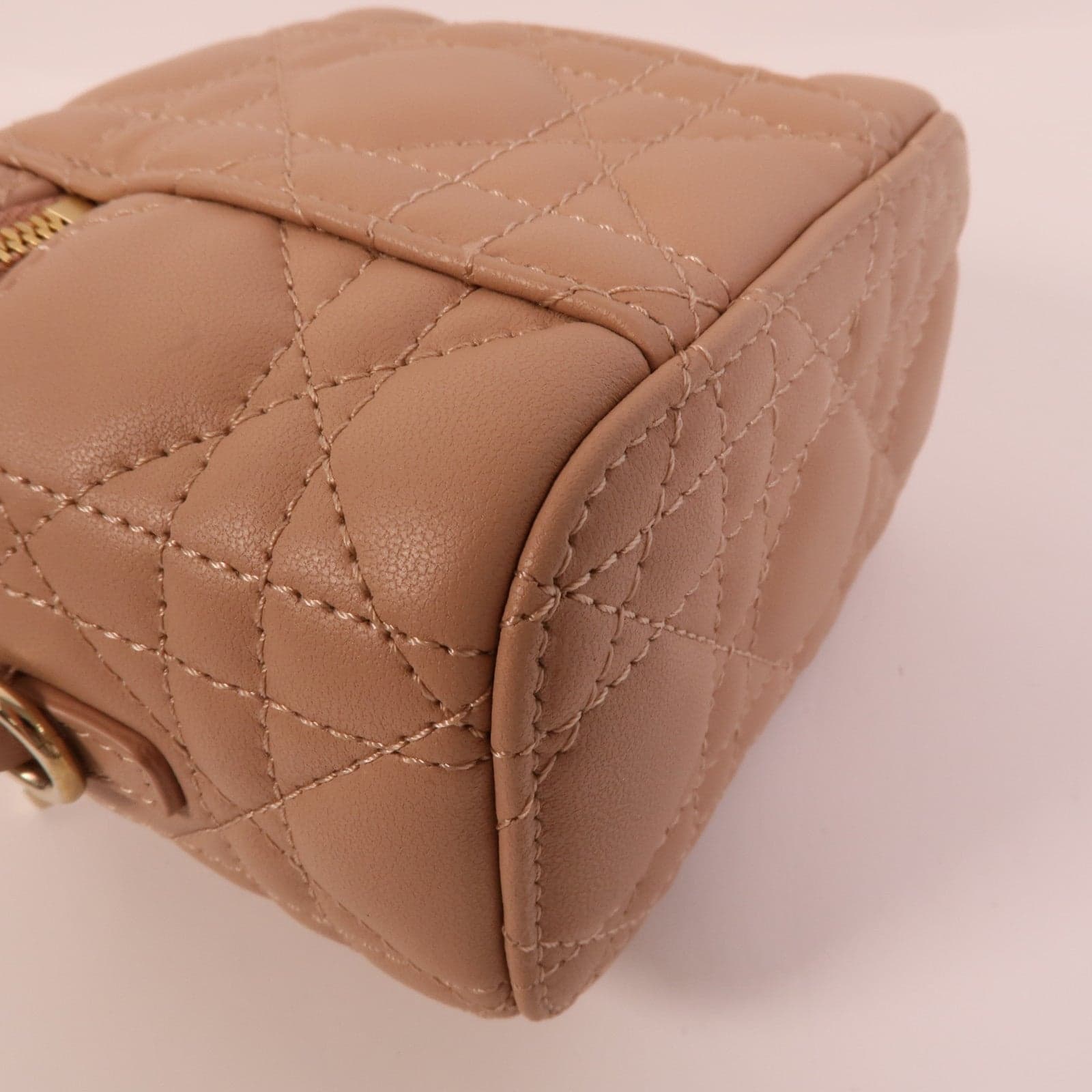 LOUIS VUITTON Vanity S0918ONMJ-M49P 兩用包 羊皮