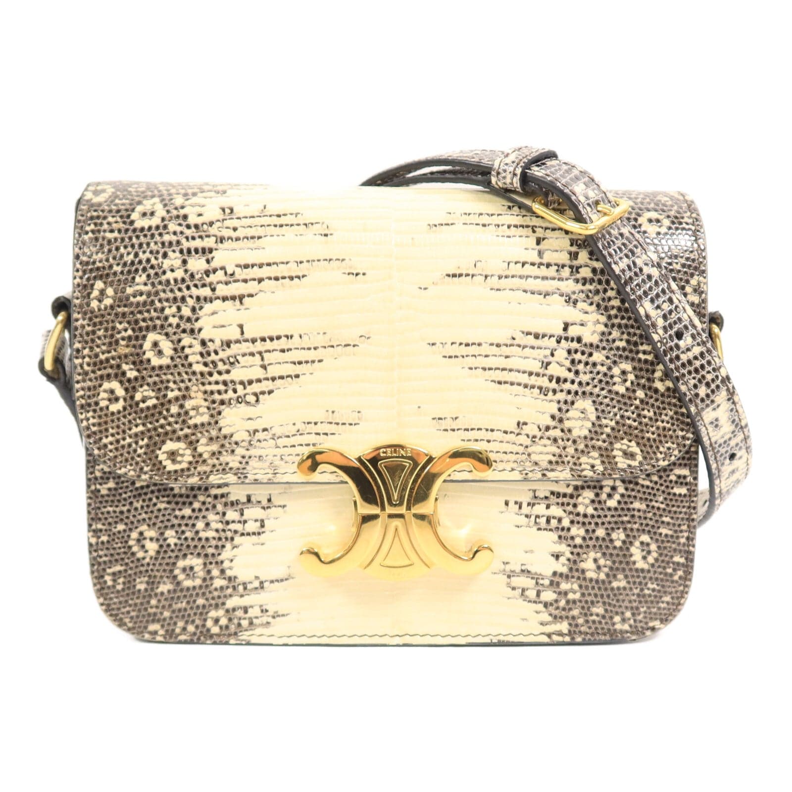 LOUIS VUITTON 肩背包 x Lizard