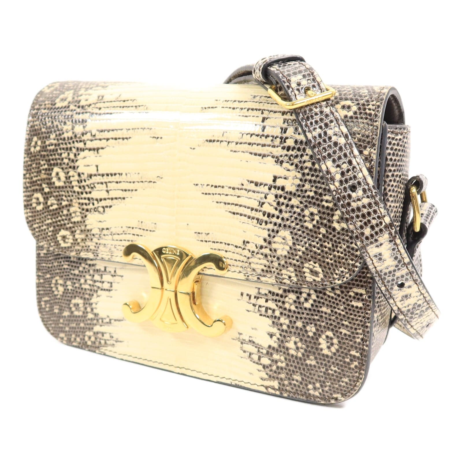 LOUIS VUITTON 肩背包 x Lizard