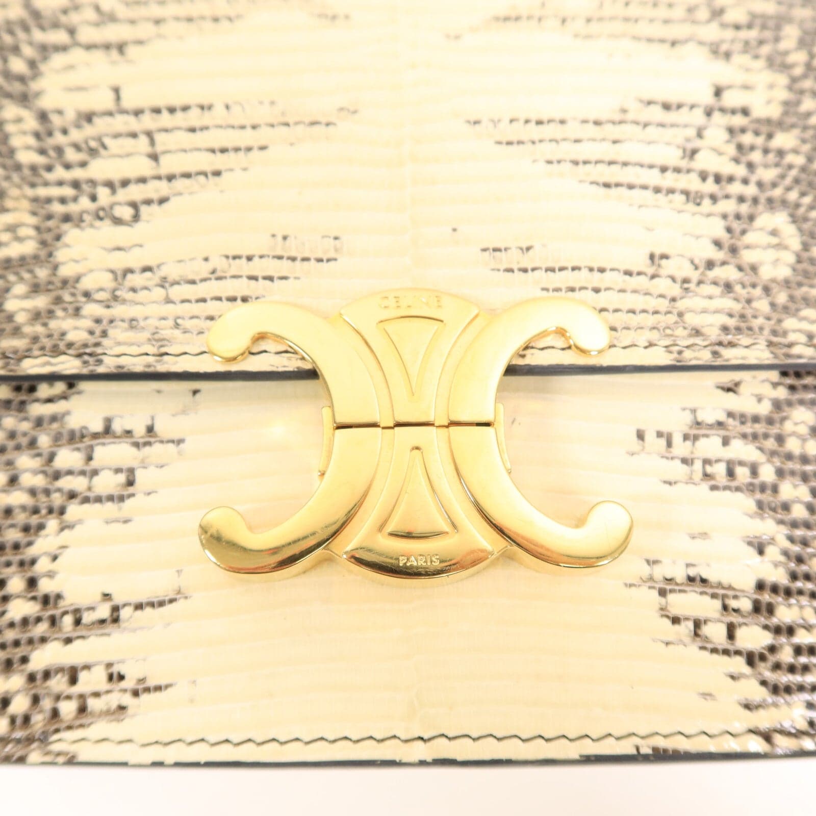LOUIS VUITTON 肩背包 x Lizard