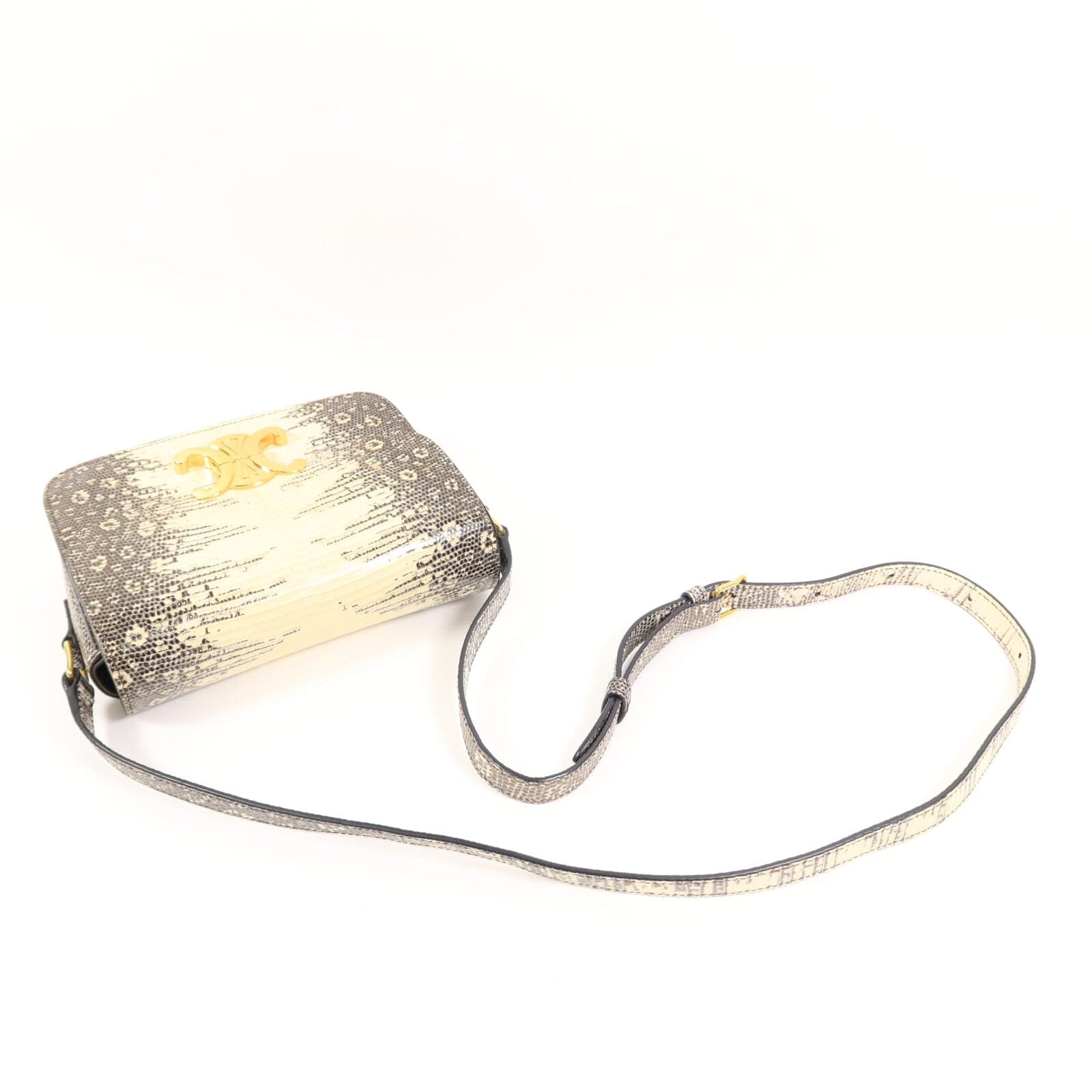 LOUIS VUITTON 肩背包 x Lizard