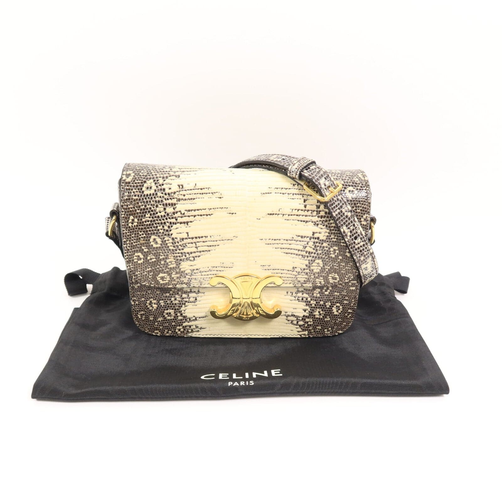 LOUIS VUITTON 肩背包 x Lizard