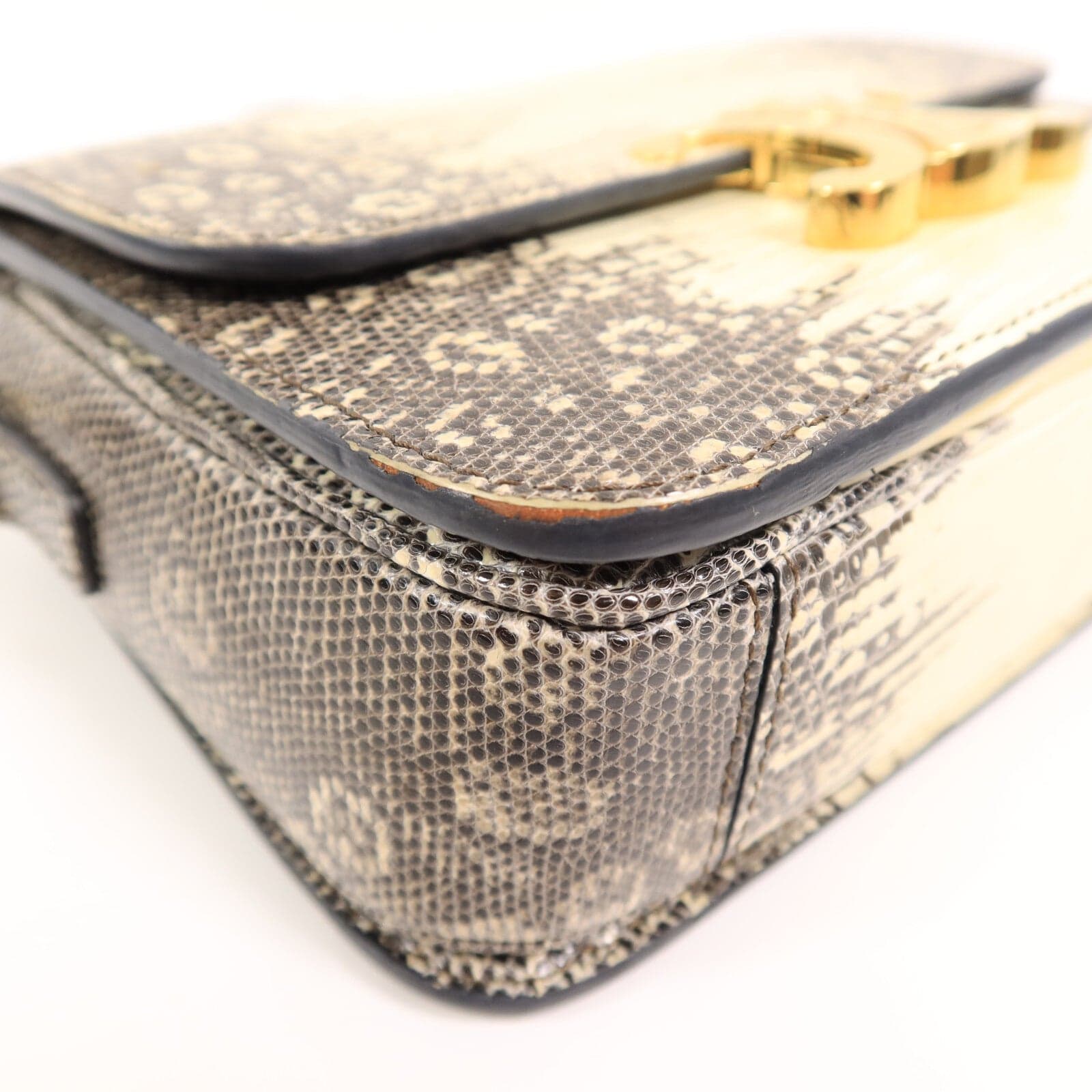 LOUIS VUITTON 肩背包 x Lizard