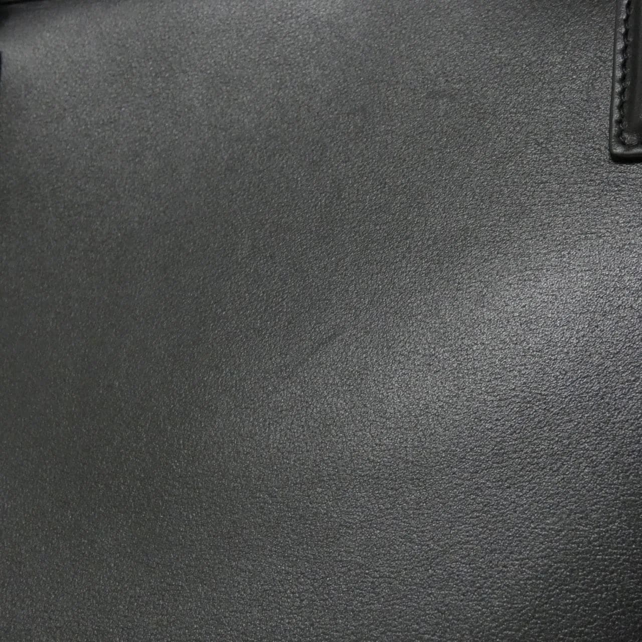 LOEWE Amazona A03918MX01 手提包