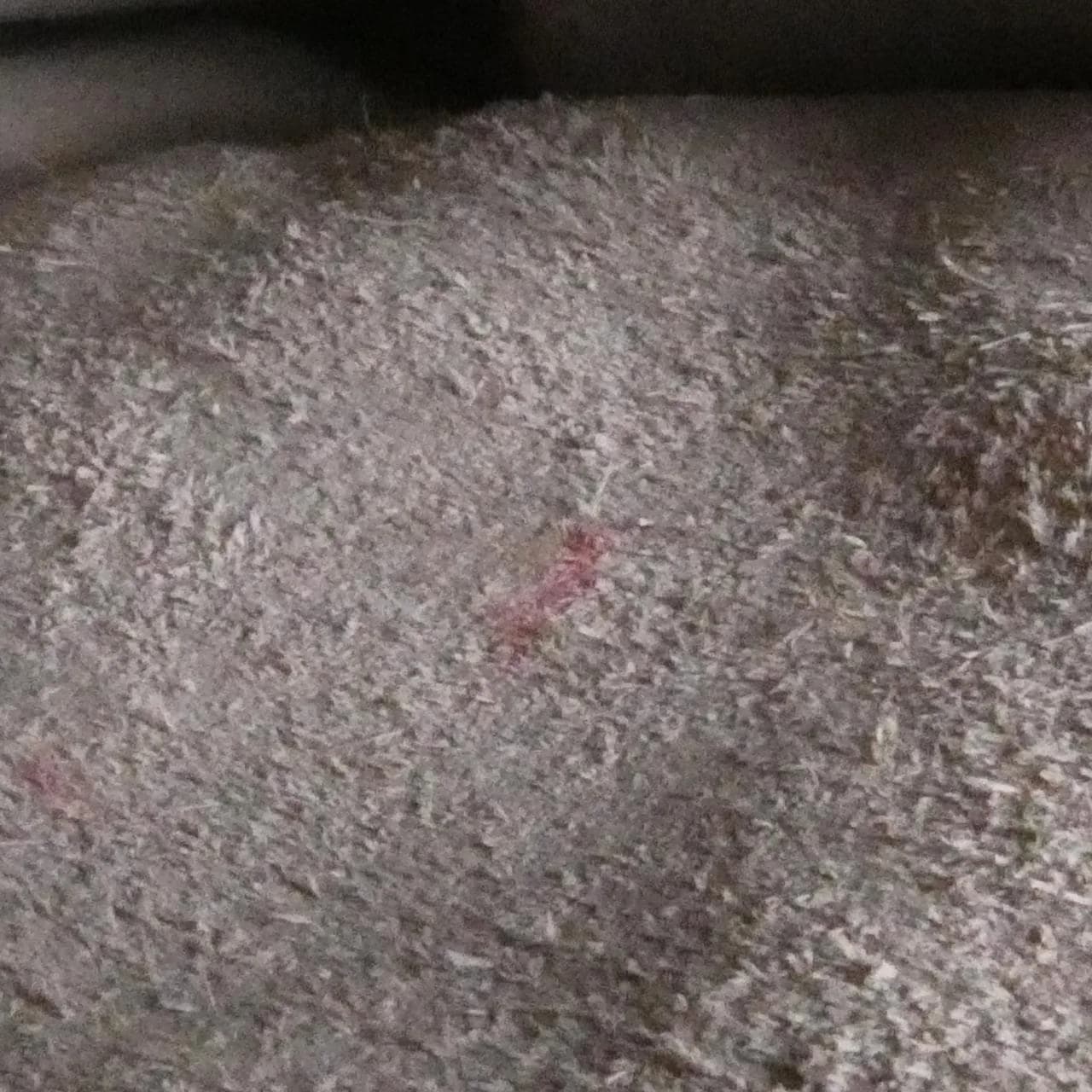 MIU MIU 5BH609 肩背包