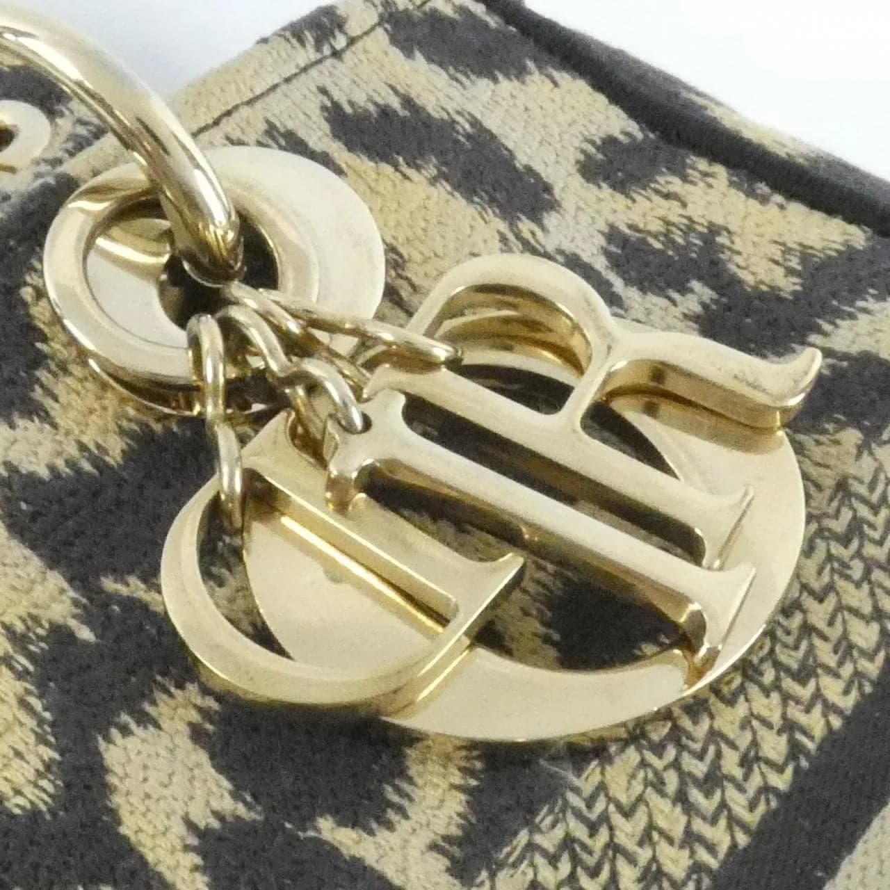 DIOR Lady Dior M0565ORHM 手提包 帆布