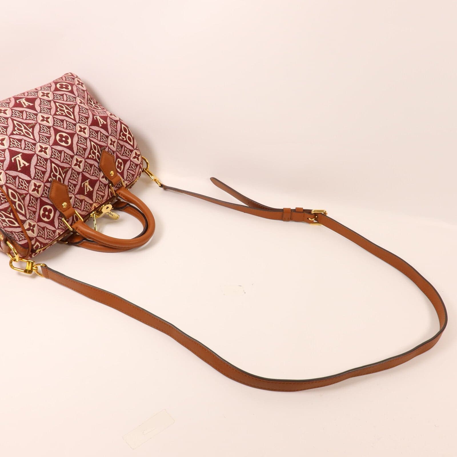 LOUIS VUITTON Speedy Bandouliere M57231 兩用包 帆布