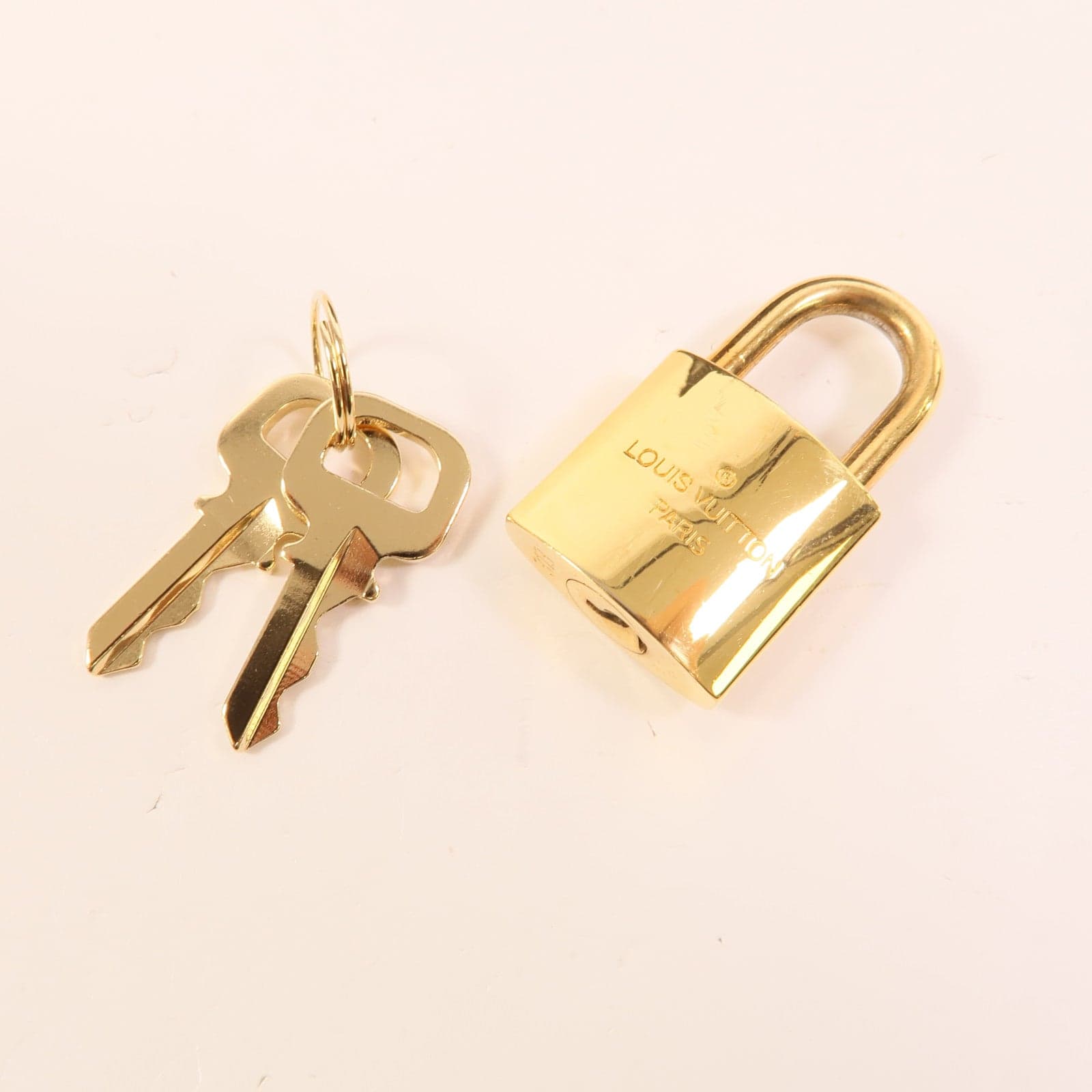 LOUIS VUITTON Steamer M43606 兩用包 塗層帆布