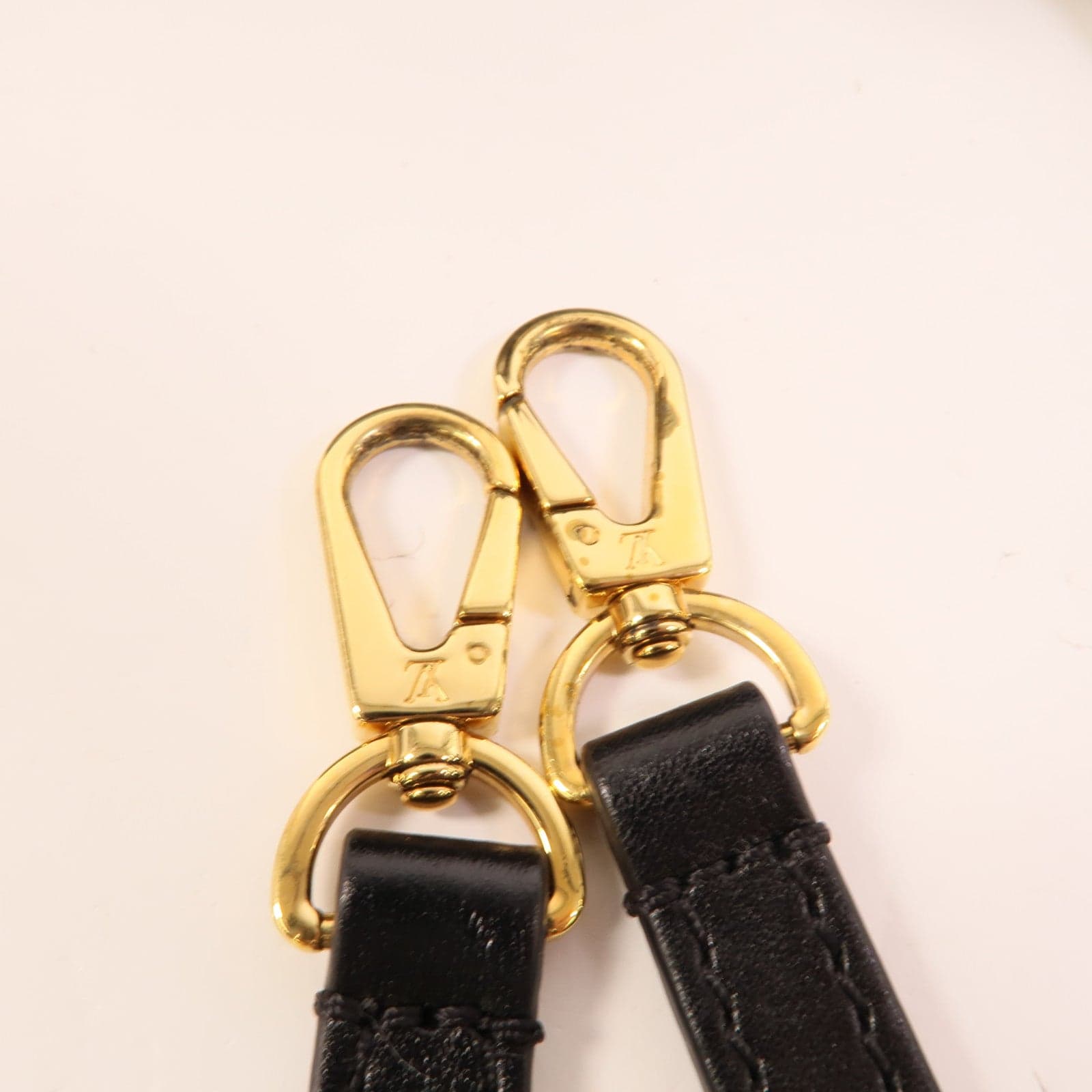 LOUIS VUITTON Steamer M43606 兩用包 塗層帆布