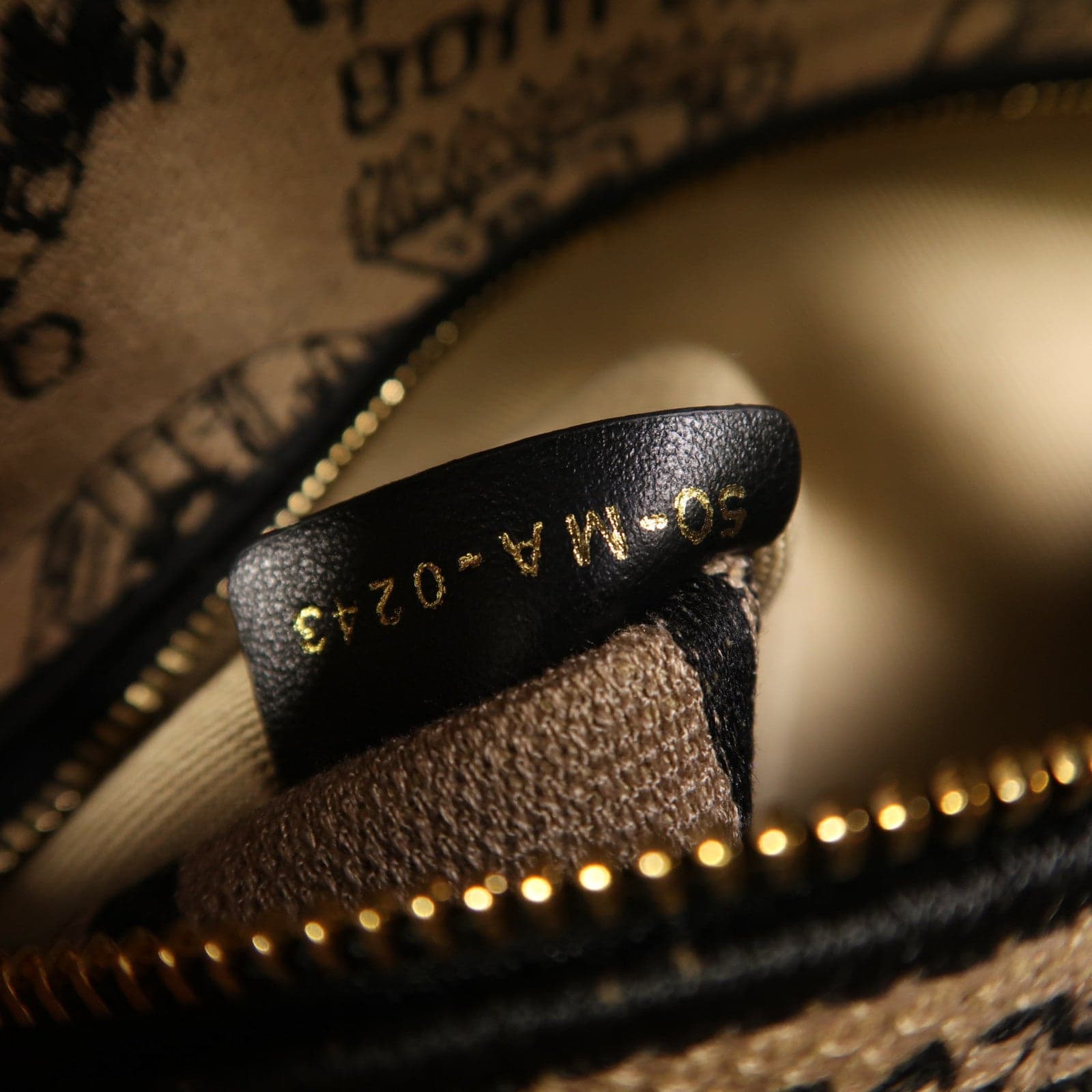 LOUIS VUITTON 兩用包 帆布
