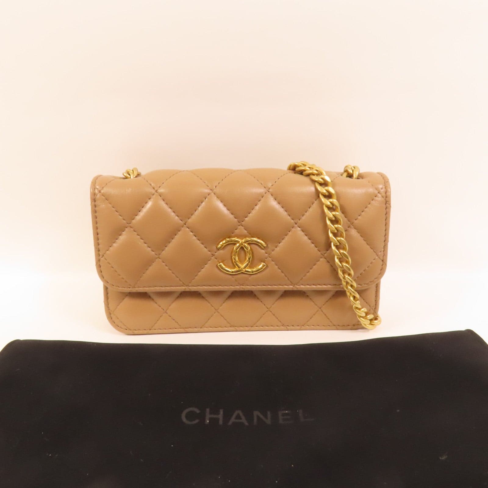 LOUIS VUITTON 肩背包 羊皮