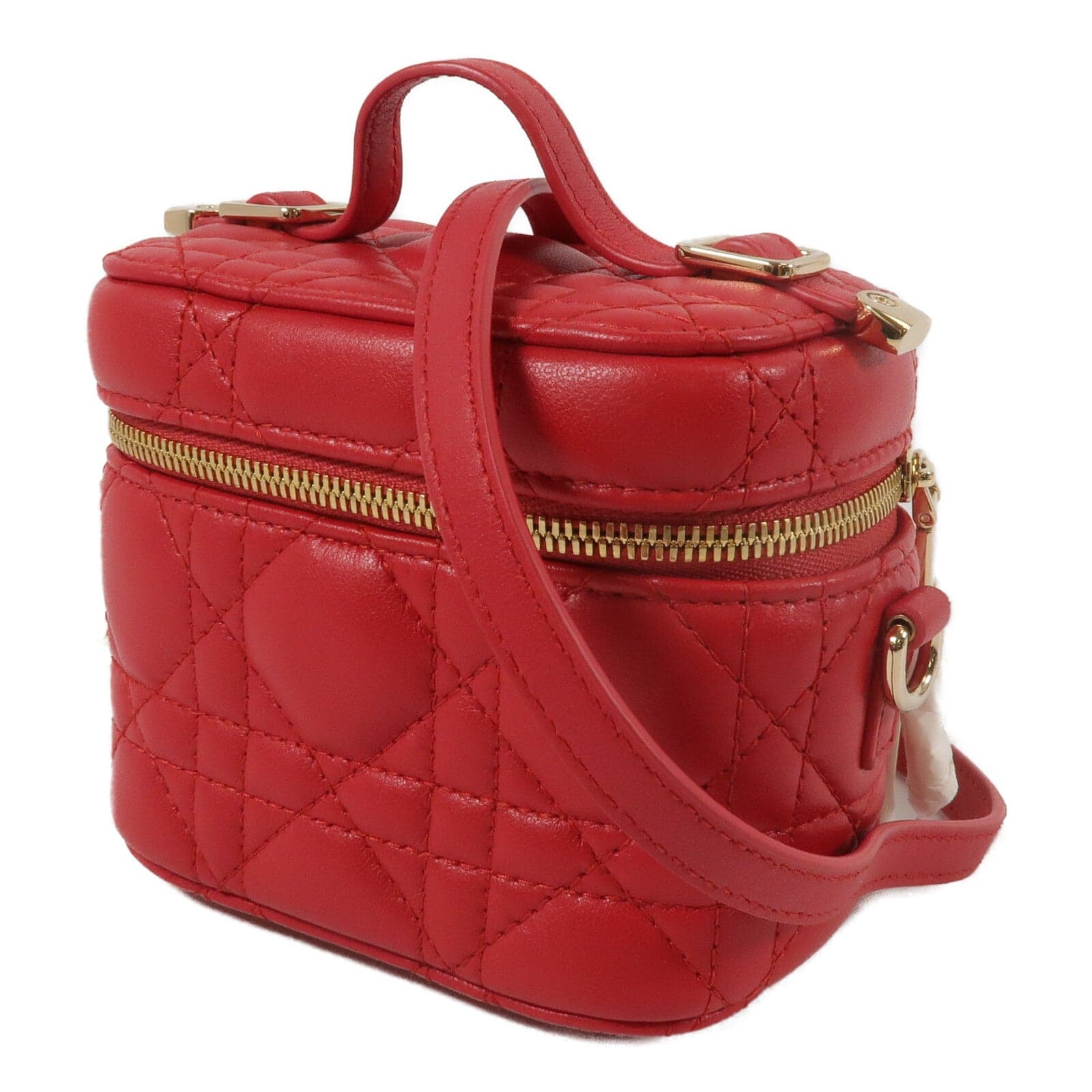 LOUIS VUITTON Vanity 兩用包 羊皮