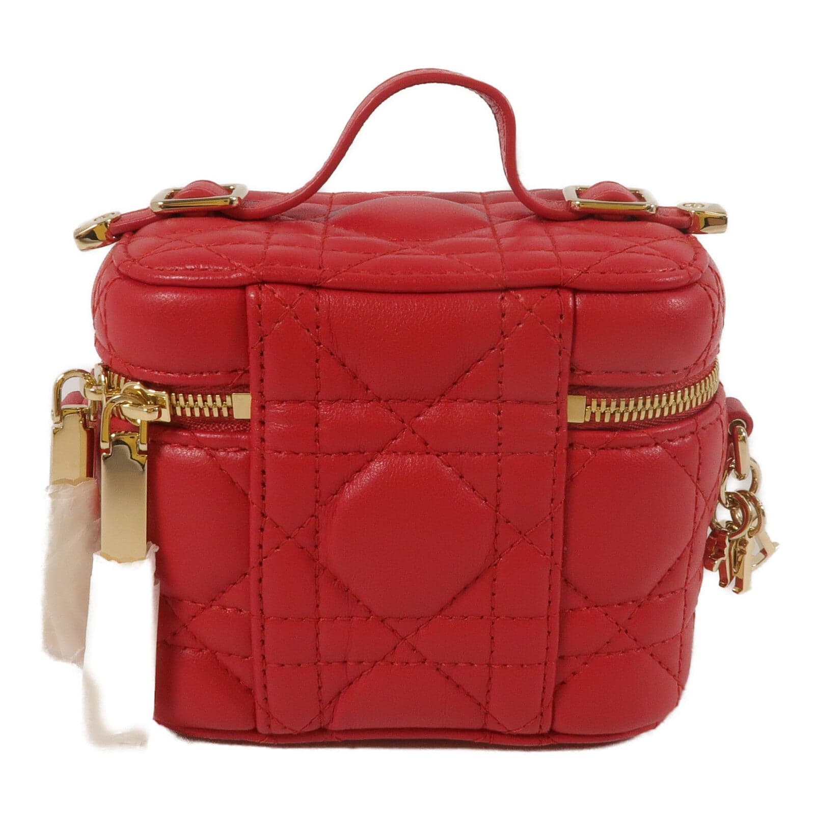LOUIS VUITTON Vanity 兩用包 羊皮