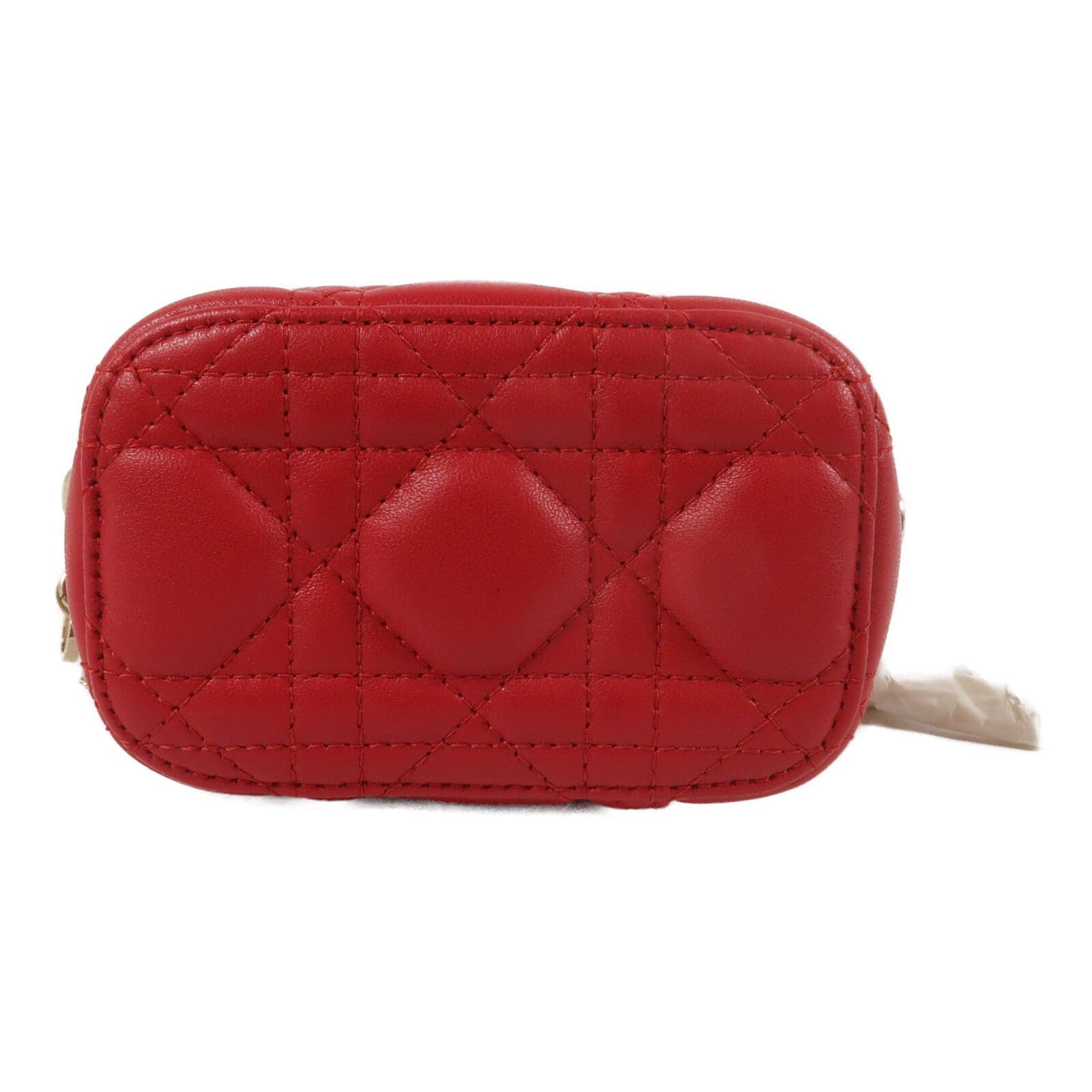 LOUIS VUITTON Vanity 兩用包 羊皮
