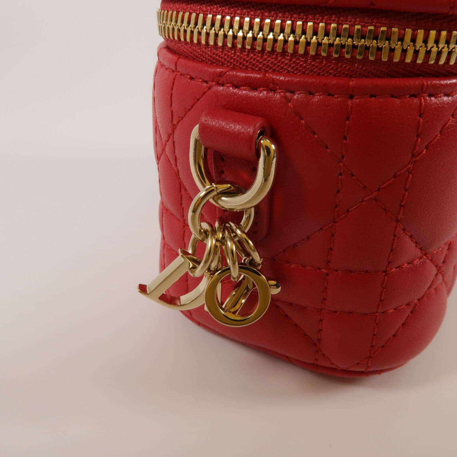 LOUIS VUITTON Vanity 兩用包 羊皮