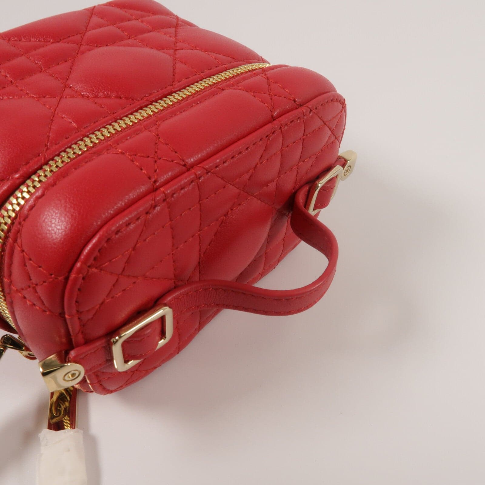 LOUIS VUITTON Vanity 兩用包 羊皮