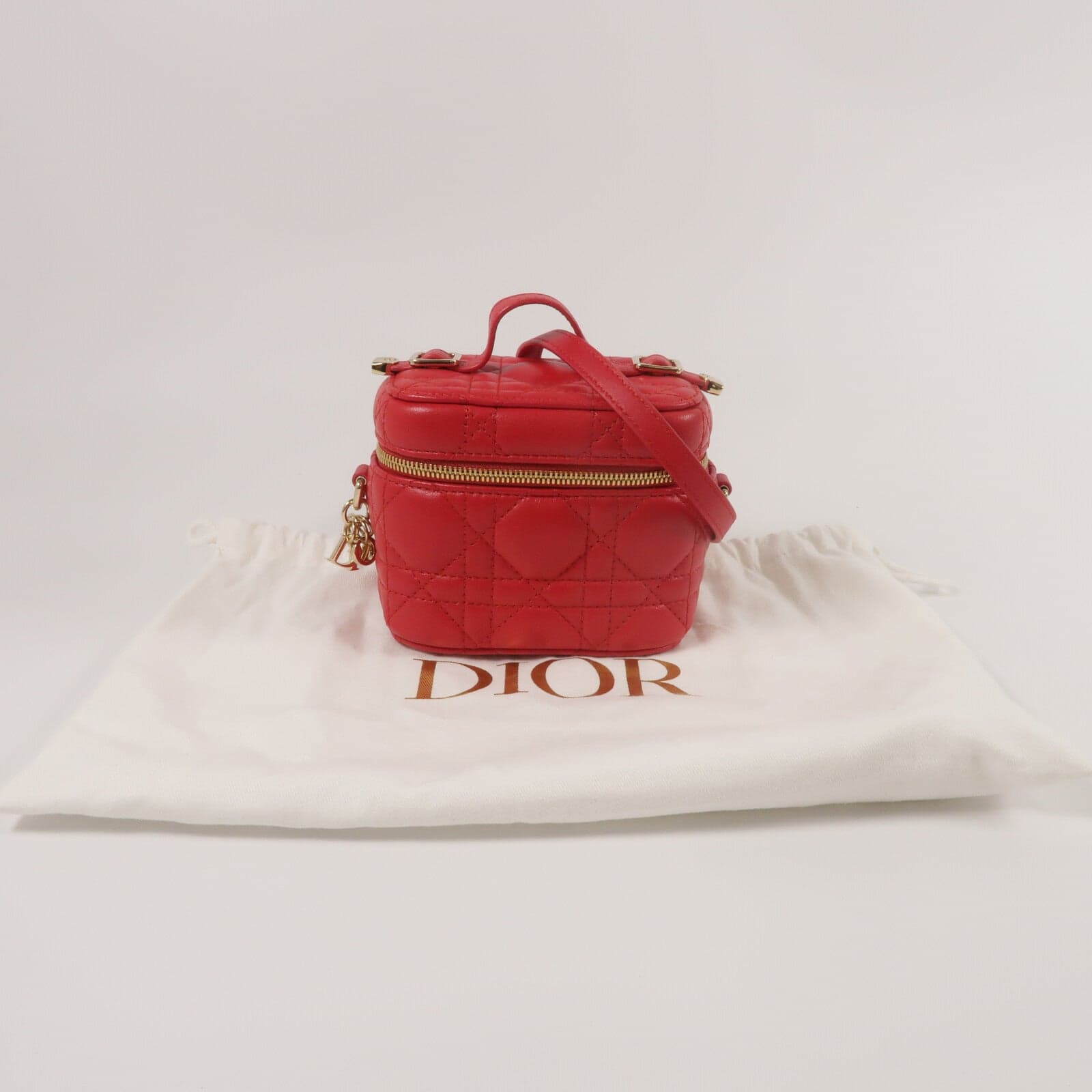 LOUIS VUITTON Vanity 兩用包 羊皮