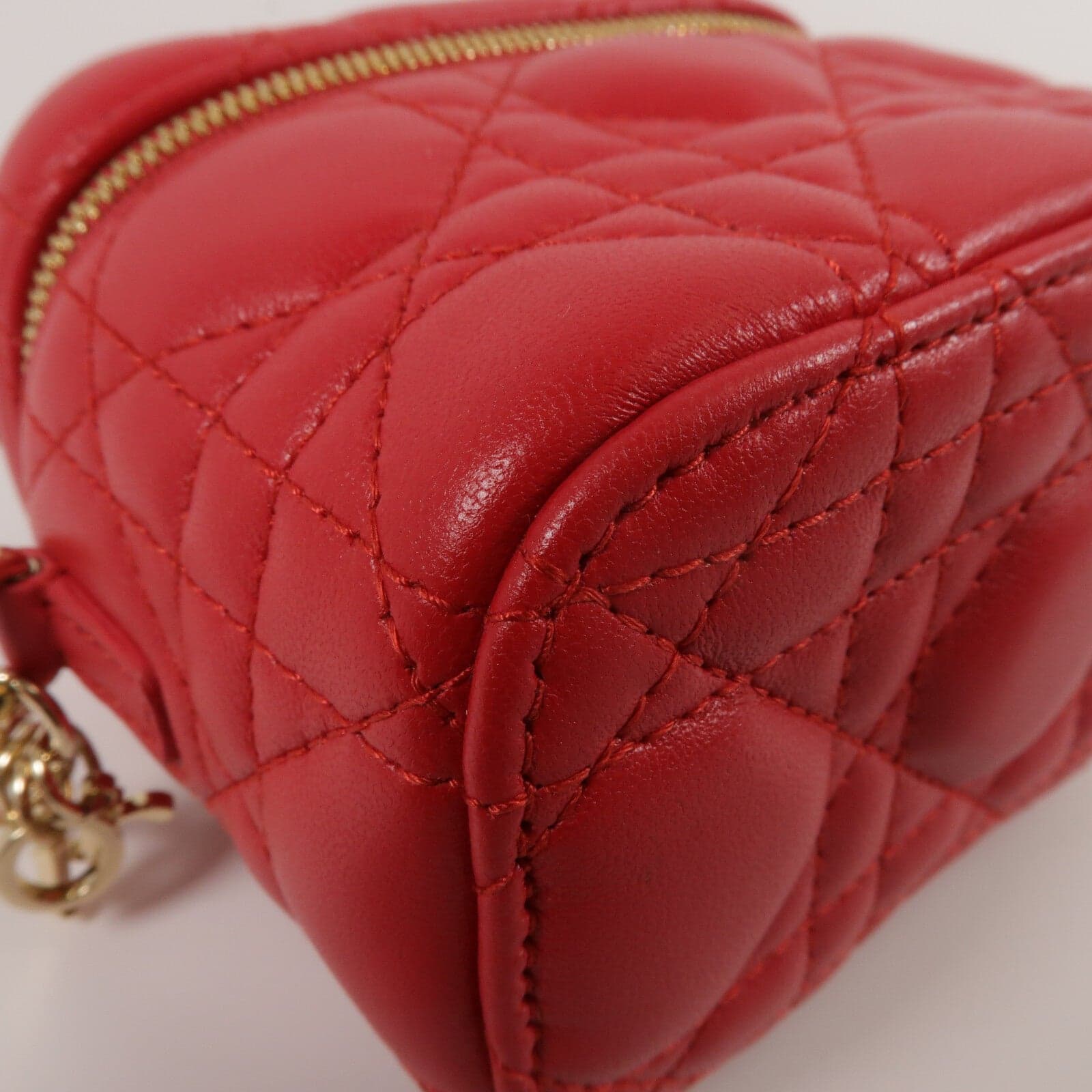 LOUIS VUITTON Vanity 兩用包 羊皮