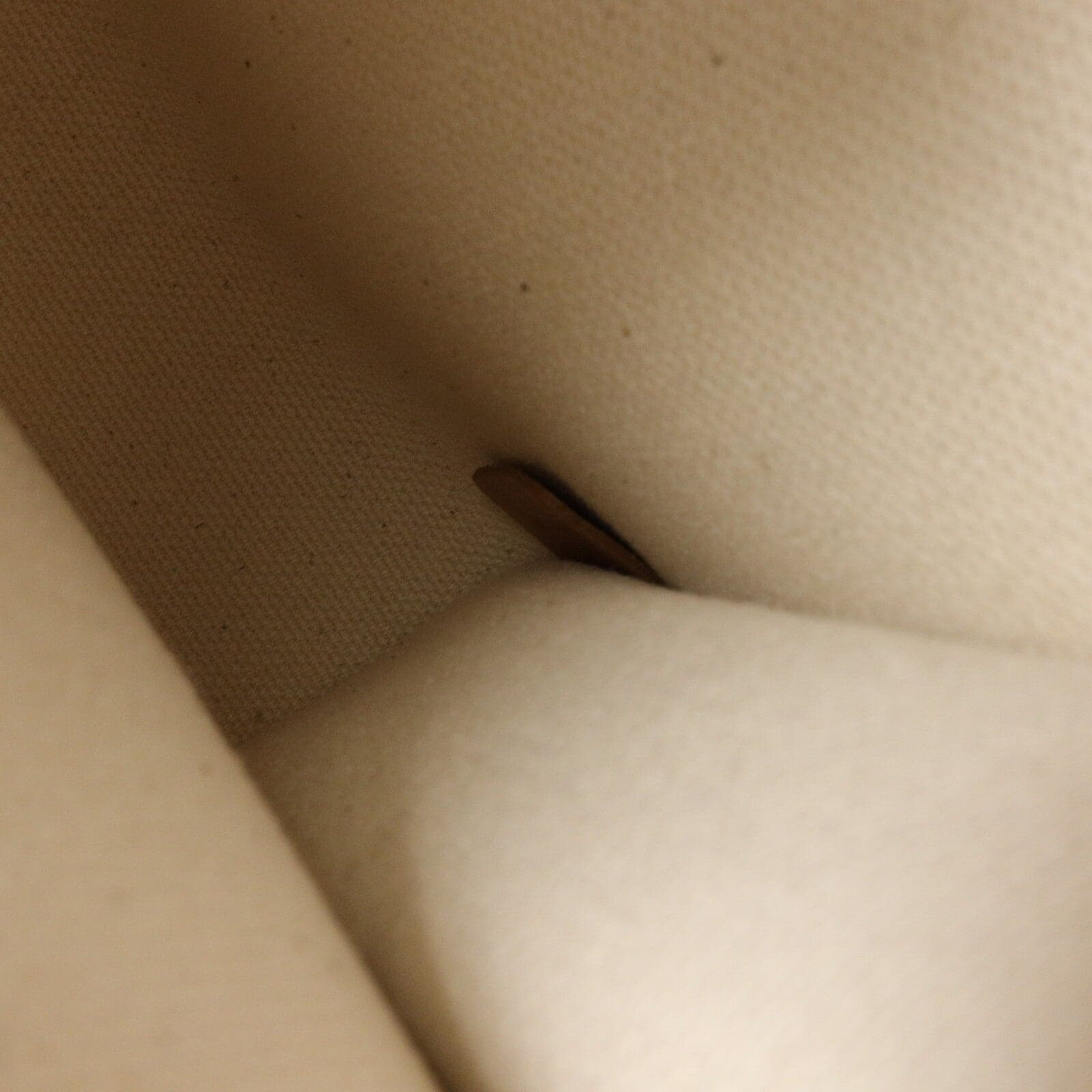 LOUIS VUITTON 193302BNZ 兩用包 牛皮