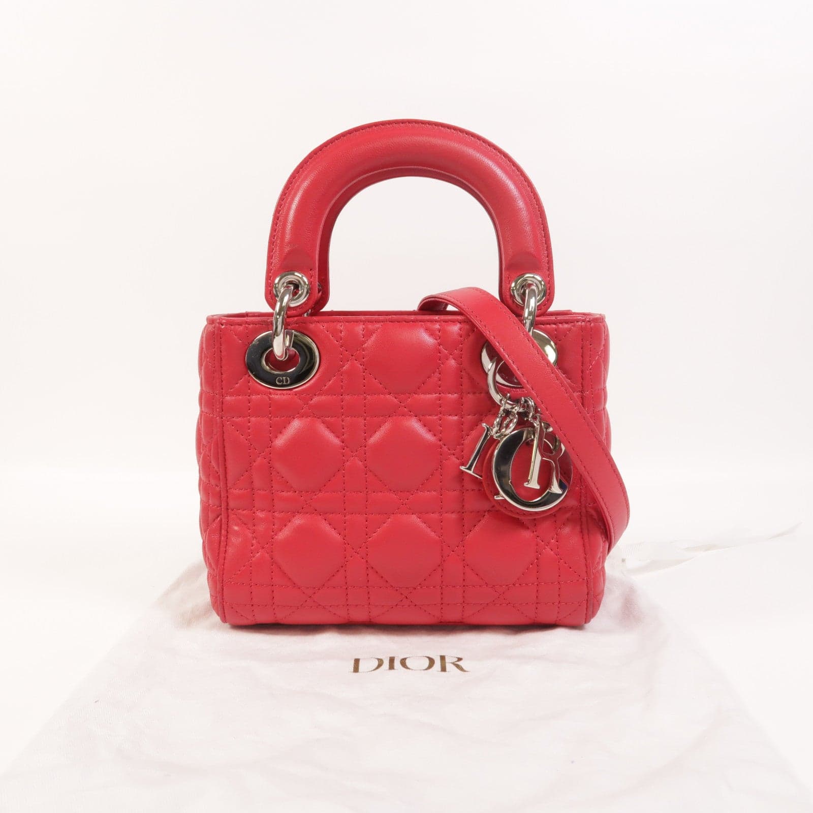 LOUIS VUITTON 兩用包 羊皮