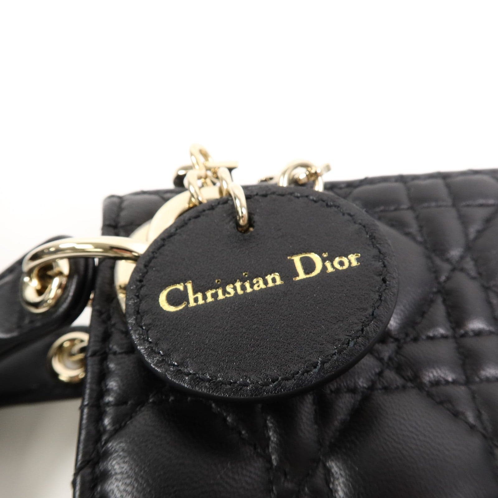 LOUIS VUITTON 兩用包 羊皮