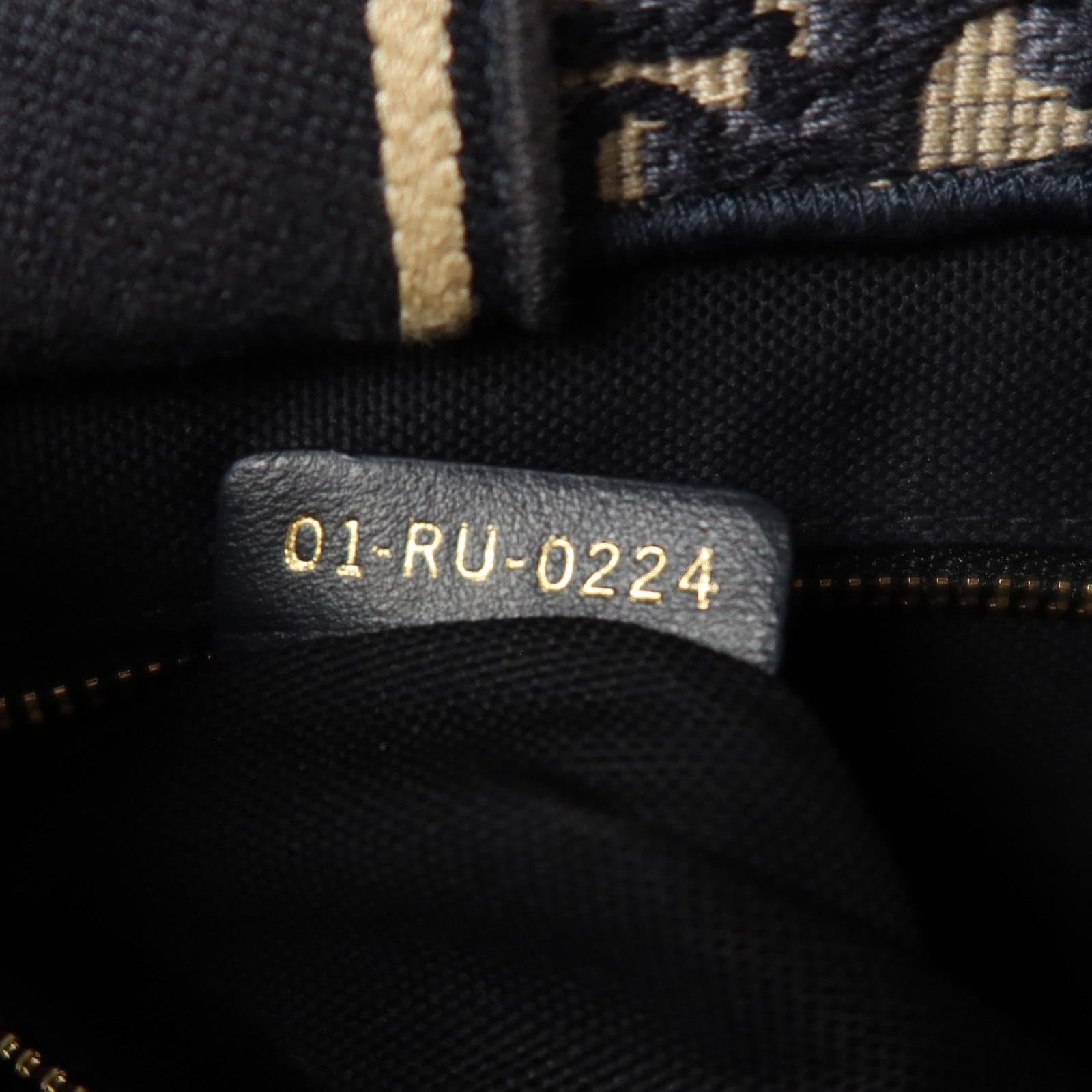 LOUIS VUITTON M1325CZBB_M928 兩用包 帆布