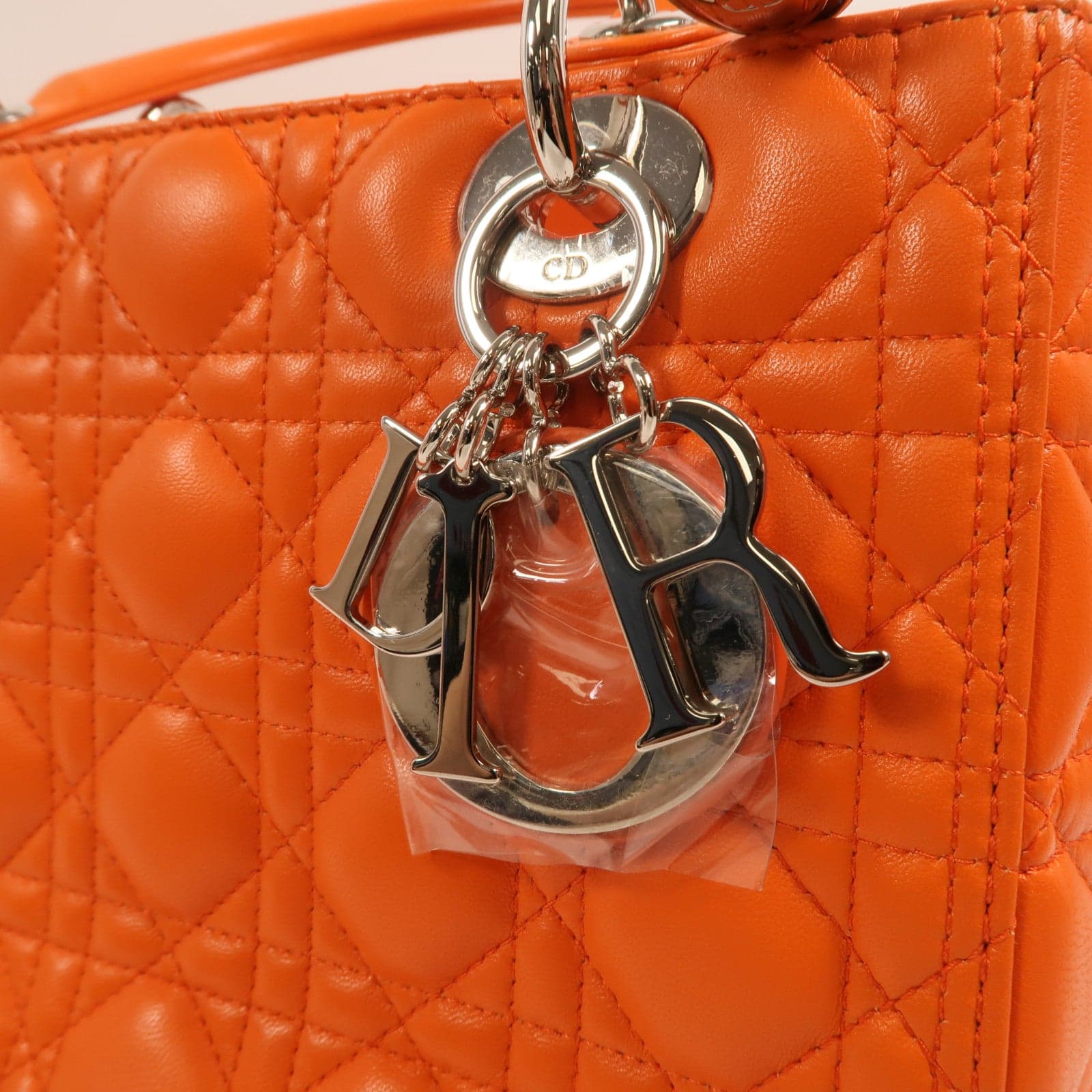 LOUIS VUITTON 兩用包 羊皮