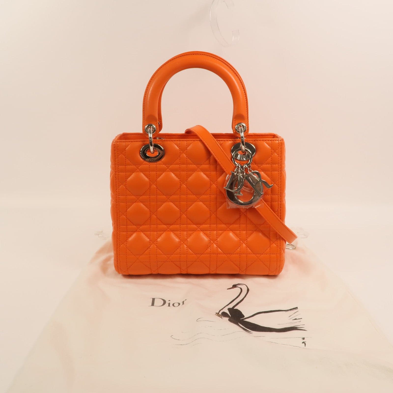 LOUIS VUITTON 兩用包 羊皮