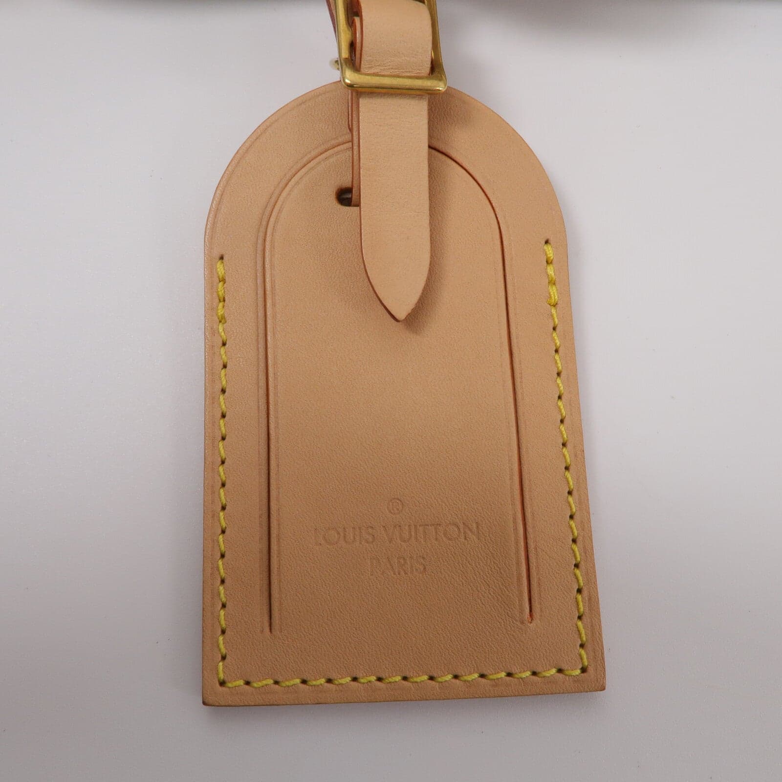 LOUIS VUITTON Speedy N40689 兩用包 塗層帆布