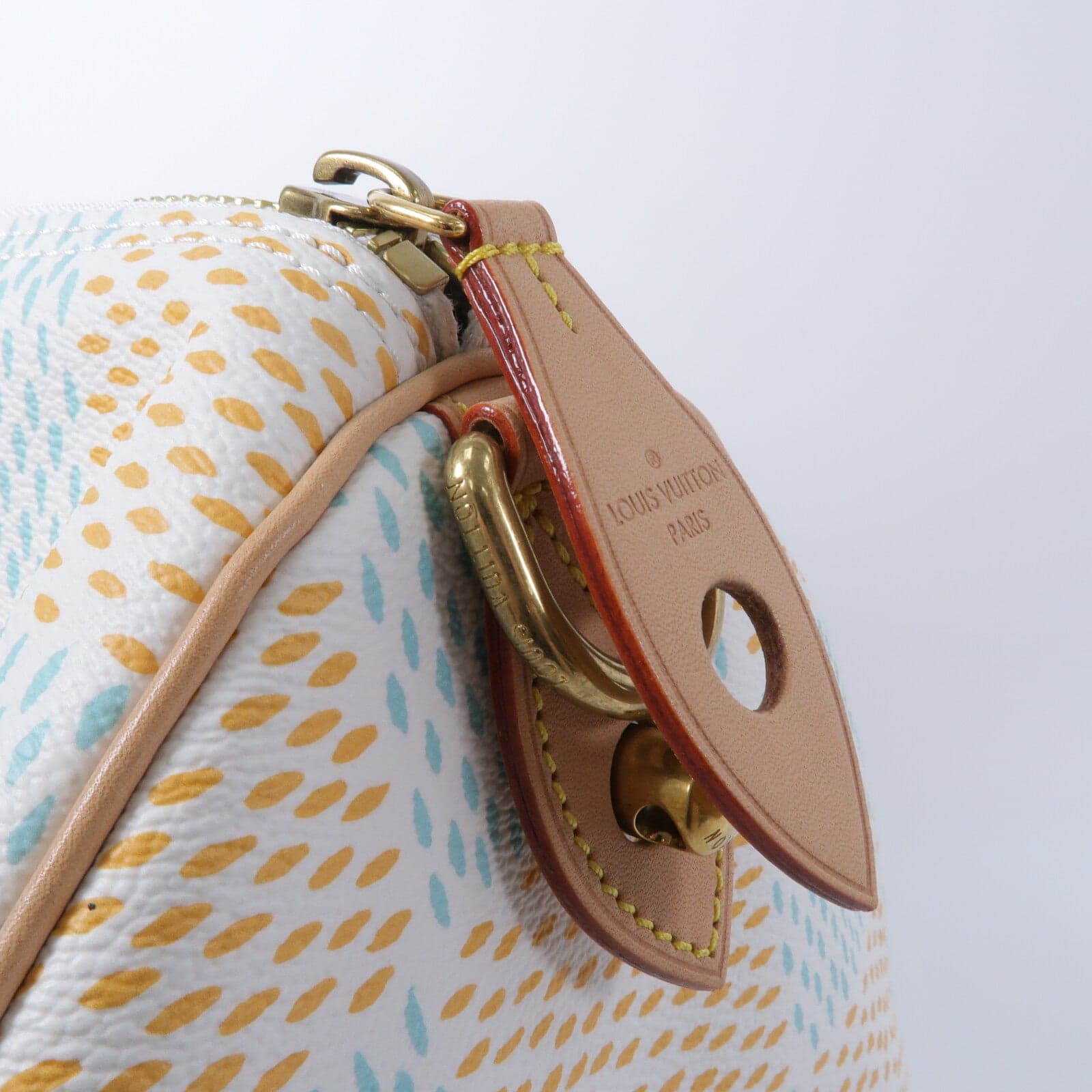 LOUIS VUITTON Speedy N40689 兩用包 塗層帆布