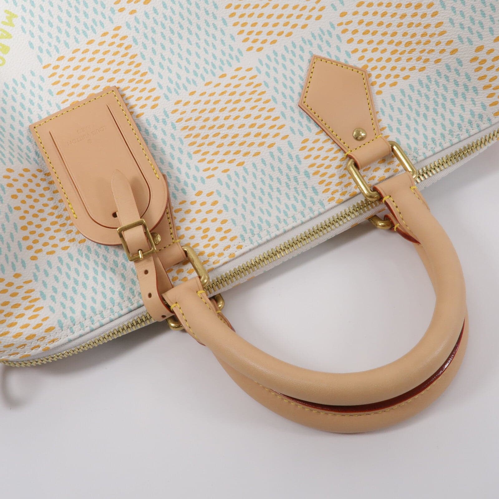 LOUIS VUITTON Speedy N40689 兩用包 塗層帆布