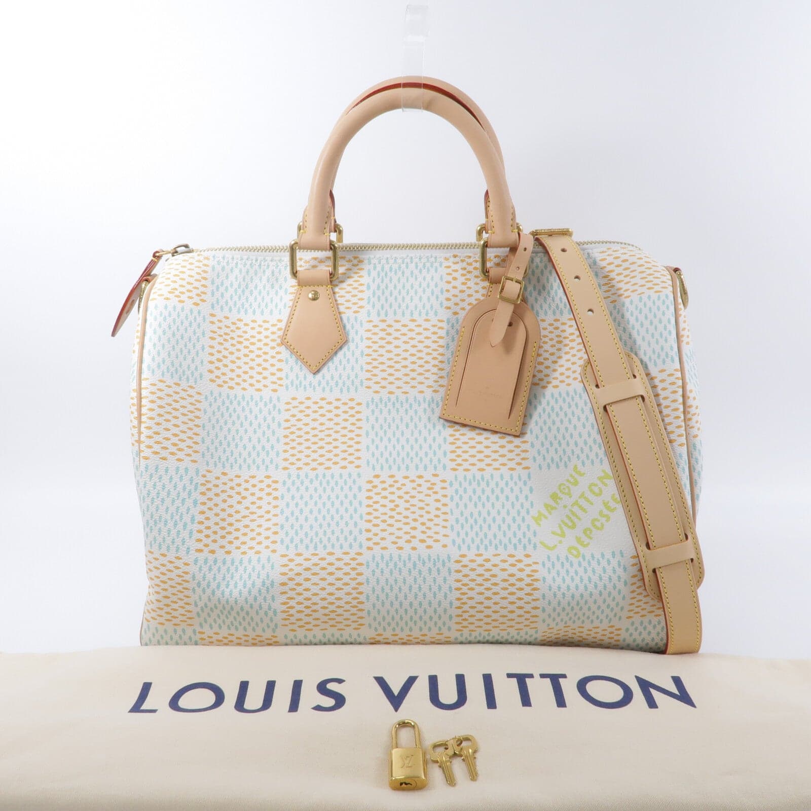 LOUIS VUITTON Speedy N40689 兩用包 塗層帆布